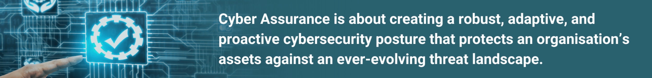 Cyber Assurance (1)