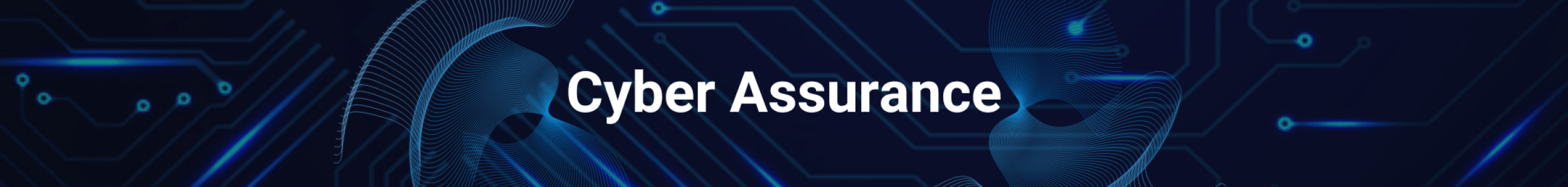 Cyber Assurance