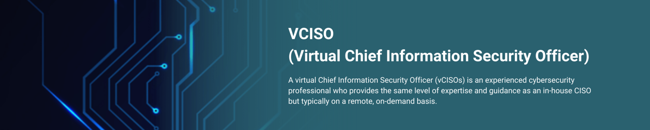 VCISO (2)
